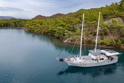 Location Voilier Custom Gulet Lux Gulet for 10 pax Bodrum