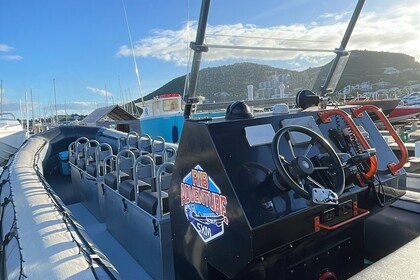 Hire RIB Work ribs holland Rib boat Sint Maarten