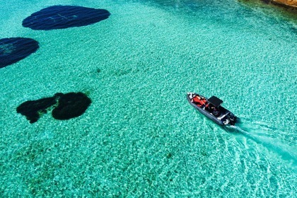 Charter Motorboat Polaris 7 metri Polaris La Maddalena