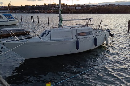 Charter Sailboat Foxhound 24 Sønderborg