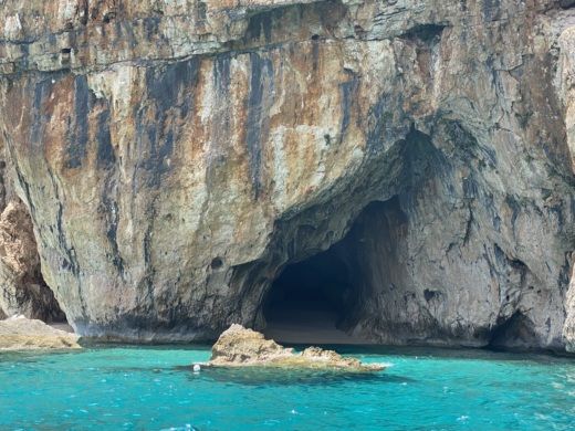 Dorgali Without license Joker 470 alt tag text