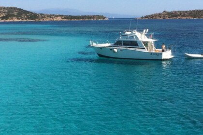 Charter Motorboat Bertram Riva Bertram 38 Santa Teresa Gallura