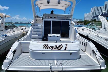 Miete Motoryacht Sea Ray 2010 Cancún