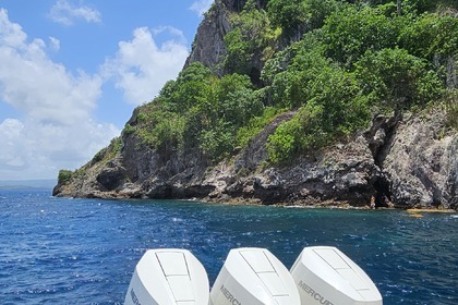 Location Bateau à moteur Wellcraft Scarab Fort-de-France