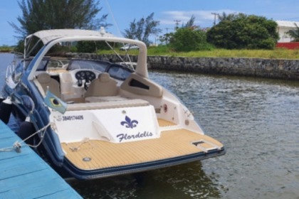 Aluguel Lancha Euro Boats Euro 260 Armação dos Búzios