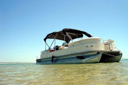 Charter Motorboat Sun Chaser Classic 8524 Faro