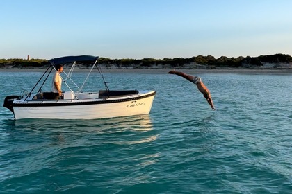 Miete Boot ohne Führerschein  silver 495 Can Picafort