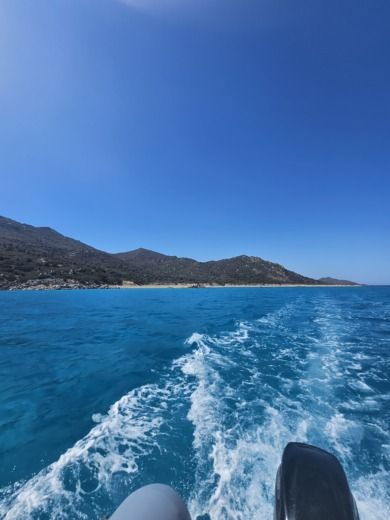 Crabonaxa Without license Bwa 550 alt tag text