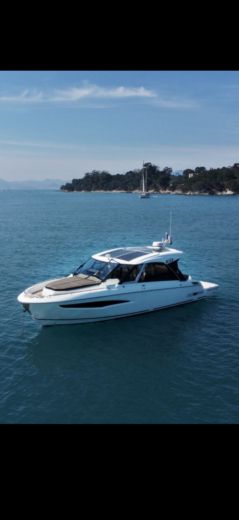 Motorboat GREENLINE NEO Plattegrond van de boot