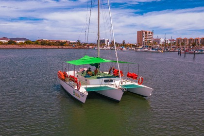 Charter Catamaran Trireme Trimaran 43 Mazatlán