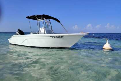 Rental Motorboat seafox 21cc Baie Mahault