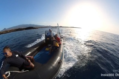 Alquiler Lancha ASTEC PRO600 Las Galletas