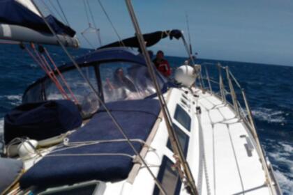 Noleggio Barca a vela Jeanneau Sun Odissey 43 Napoli