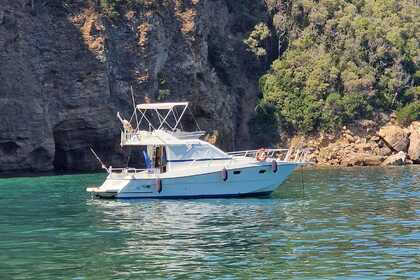 Noleggio Barca a motore Ars monaco 31 fly Bocca di Magra