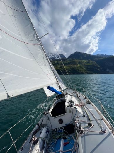 Sailboat Shamrock 9.5 Plattegrond van de boot