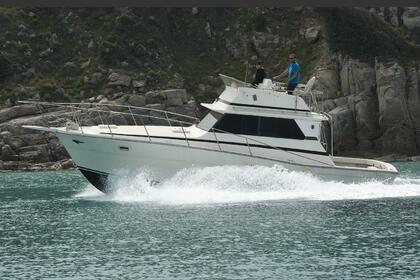 Charter Motorboat Viking 36 Santa Teresa Gallura