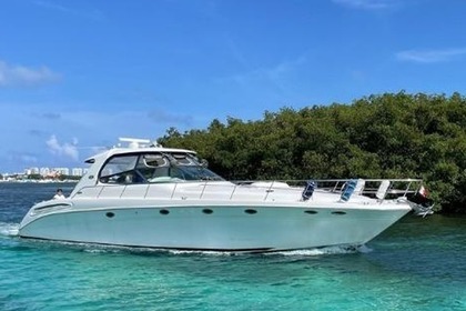 Rental Motorboat Sea Ray 60 Cancún