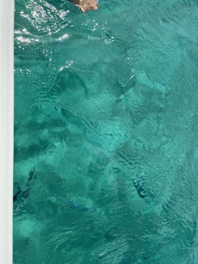 Santa Teresa Gallura Without license Sea power Sea power alt tag text