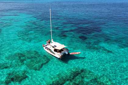 Alquiler Catamarán J.K Pipe & Sons LTD BobCat Catamaran 8M San Francisco Javier