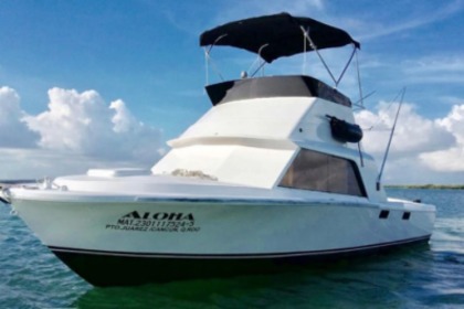 Rental Motorboat Bertram 31 Cancún