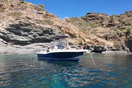 Aluguel Lancha Kelt White Shark 205 Empuriabrava