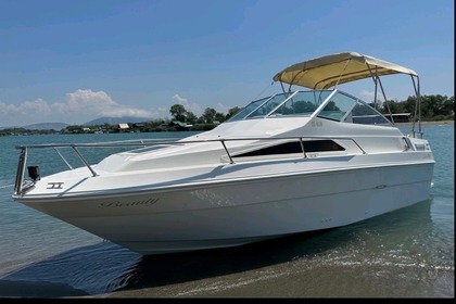 Charter Motorboat Sea Ray Cudy cabin Bar