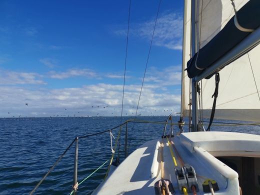 Los Alcázares Sailboat Russel Marine Vivacity 20 sin patrón 6 pax. alt tag text