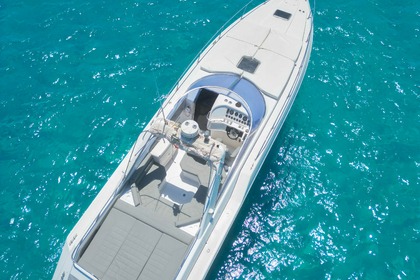 Alquiler Lancha SUNSEEKER Thunderhawk 43 Formentera