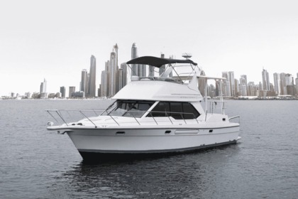 Rental Motorboat Bayliner 40 Dubai