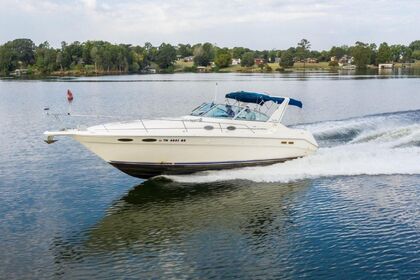 Verhuur Motorboot Sea Ray Sundancer 330 Marbella