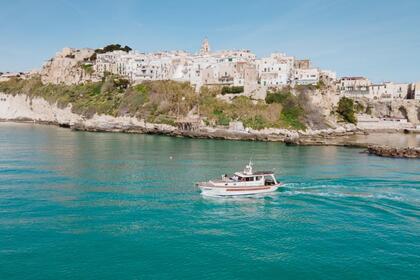 Charter Motorboat Viro mare Gozzo Vieste