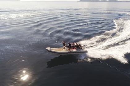 Rental RIB Bsc Ivory Hyères