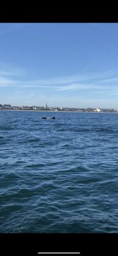 Ouistreham Motorboat Quicksilver 555 Pilothouse alt tag text