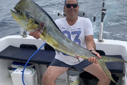 Hire Motorboat Salidas de pesca Cualquier modalidad Novo Sancti Petri