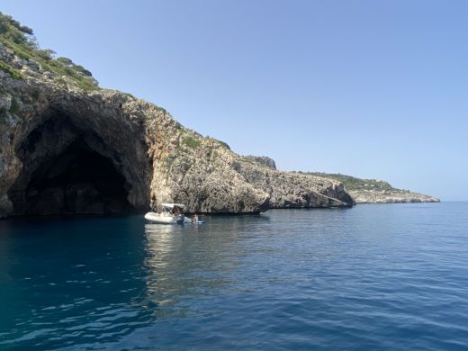 Leuca Without license Salento marine Elite 19 alt tag text