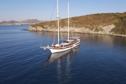 Verhuur Gulet CUSTOM BUİLT GULET Bodrum