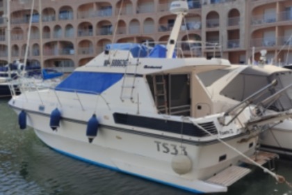 Charter Motorboat Birchwood TS33 Hyères