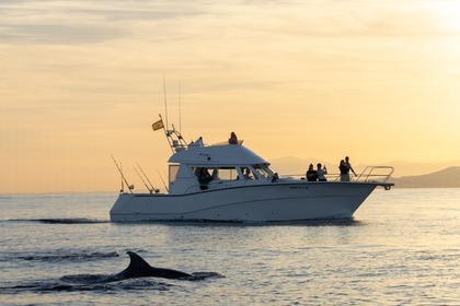 Location Bateau à moteur Rodman 1250 Fuengirola