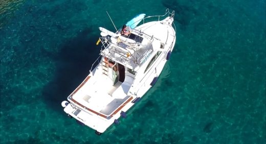 Motorboat Cayman Yacht 30 Fly Bridge Plattegrond van de boot