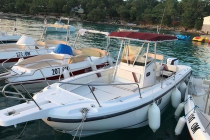Rental Motorboat BOSTON WHALER 26 Malinska