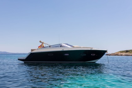 Alquiler Lancha Sealine sport 35 Palma de Mallorca