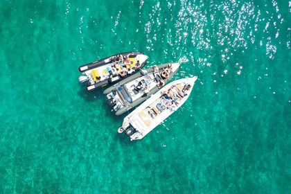 Charter RIB Scorpion Ribco G2 Marathon