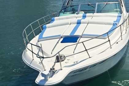 Alquiler Lancha Sea Ray 400 Sun Sport Puerto Vallarta
