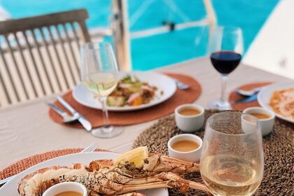 Charter Catamaran Bali - Catana Bali 4.5 Simpson Bay