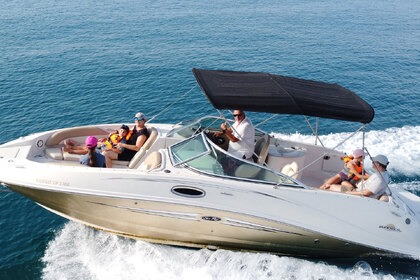 Rental Motorboat Sea Ray 260 Sundeck Lardos