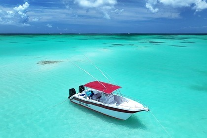 Rental Motorboat power catamaran CATAMARAN 30 Bayahibe