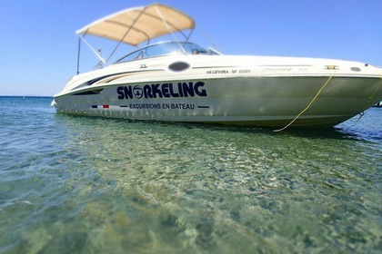 Rental Motorboat Sea Ray 240 Sundeck Marathon
