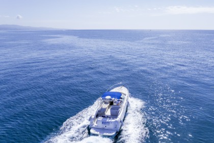 Hire Motorboat SEA RAY AMBERJACK 290 Marbella