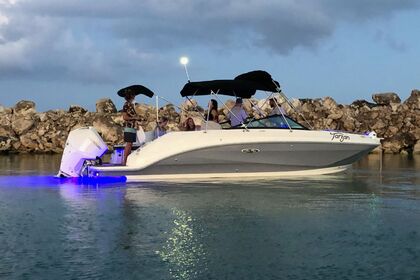 Rental Motorboat Sea Ray SDX 26' Playa del Carmen