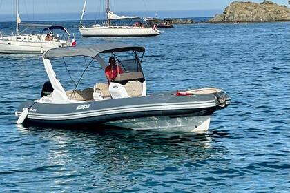 Charter RIB Salpa soleil 26 Argelès-sur-Mer